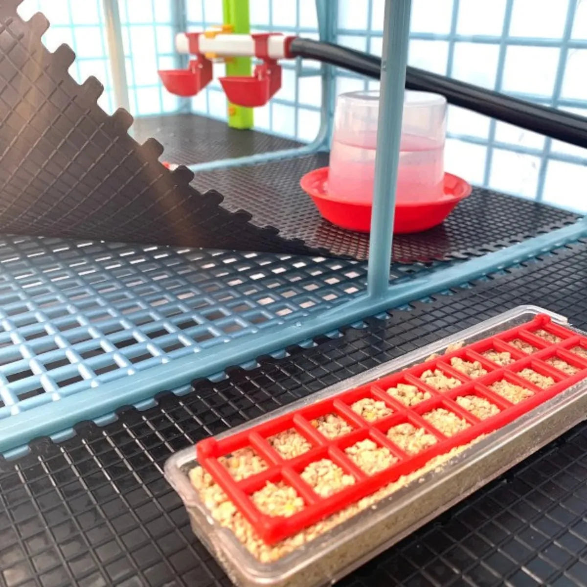 Quail breeding box with 3 compartments and 5 tiers - BYK-03-5K