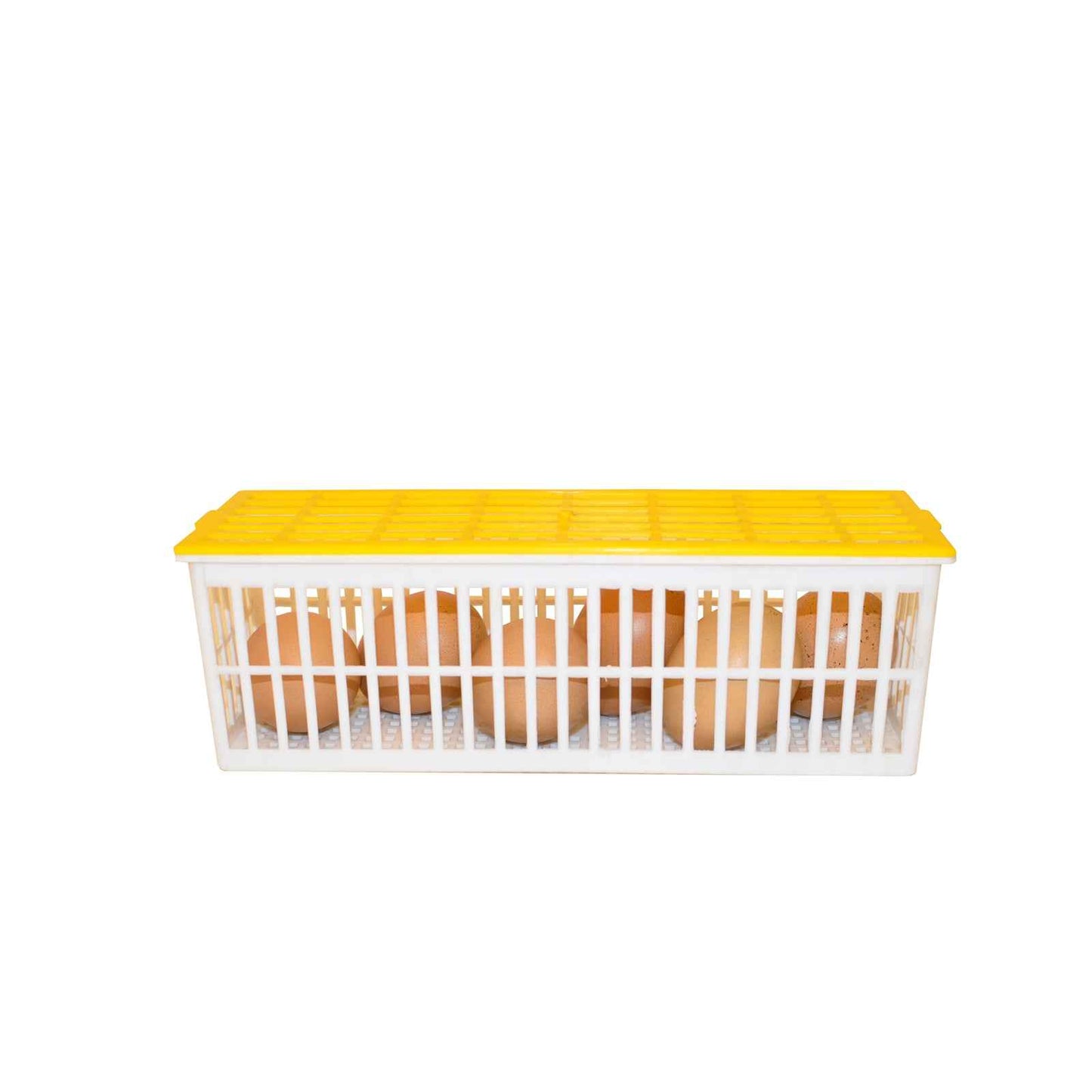 Slip basket CS6