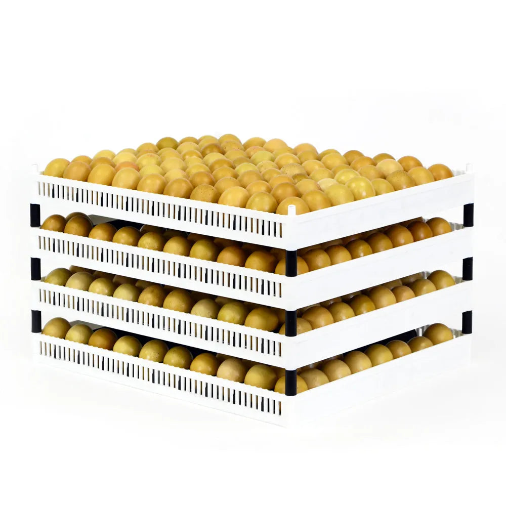 Egg holder FLX80