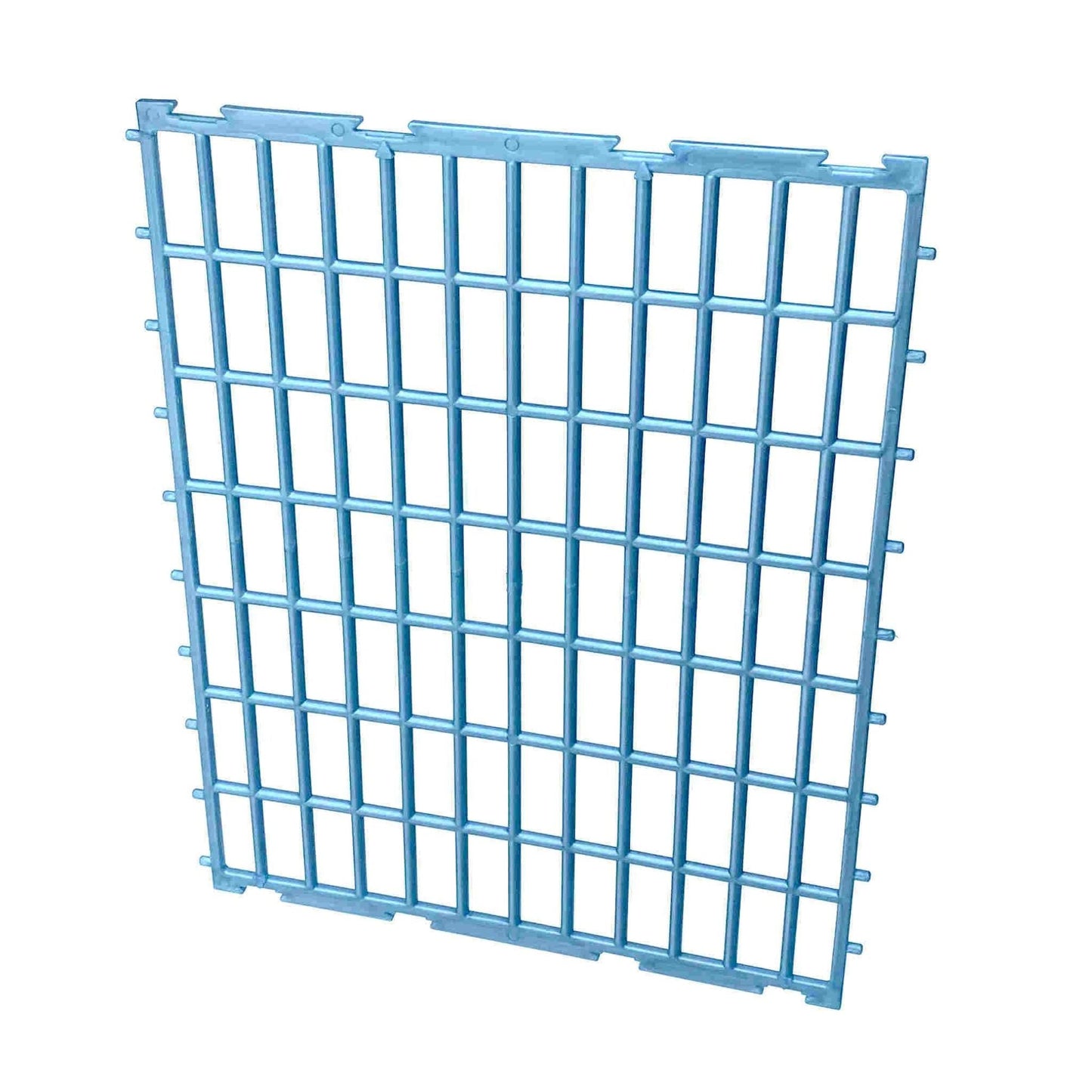 BS_K0040 Aufzuchtbox Rückwand - GL40