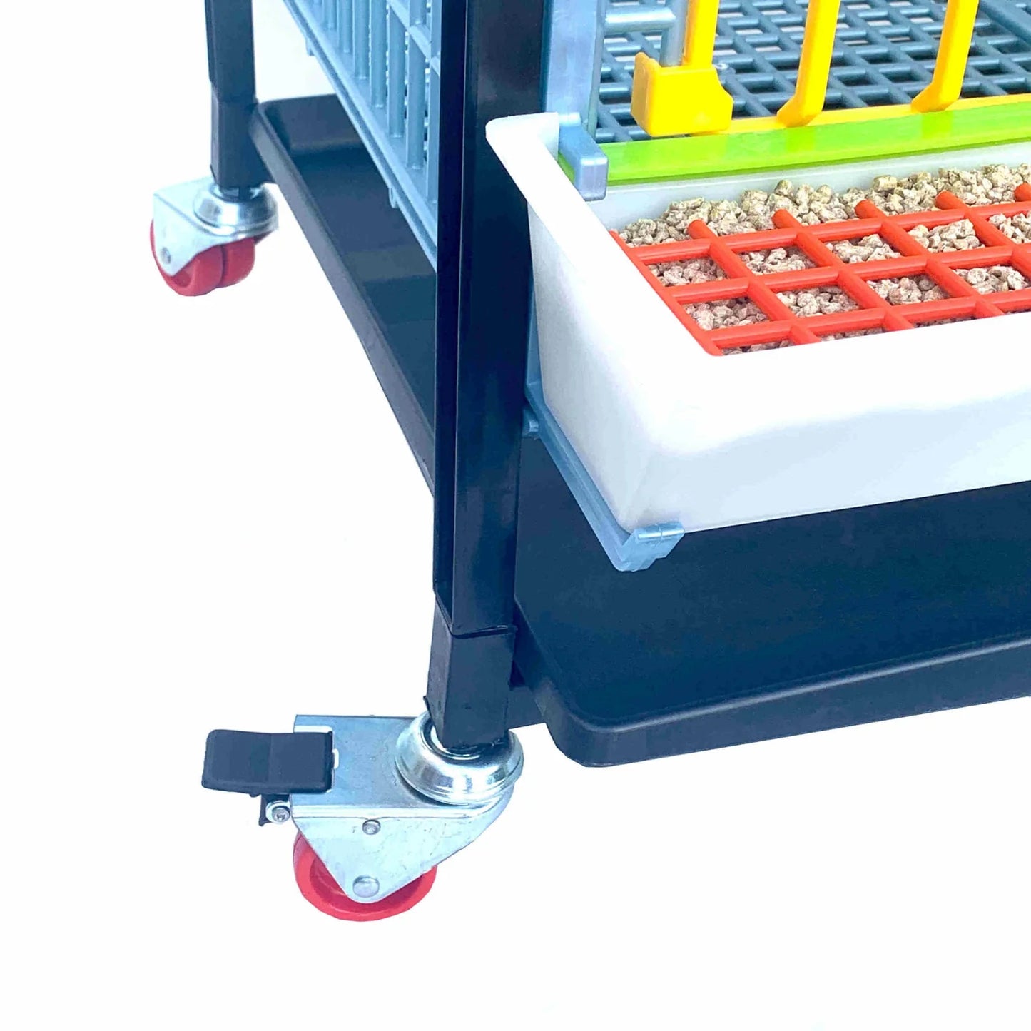 GL40-03-1K– Entwicklungsbox mit 1 Etage für Jungtiere