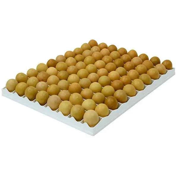 TR80 Chicken Incubation Trays