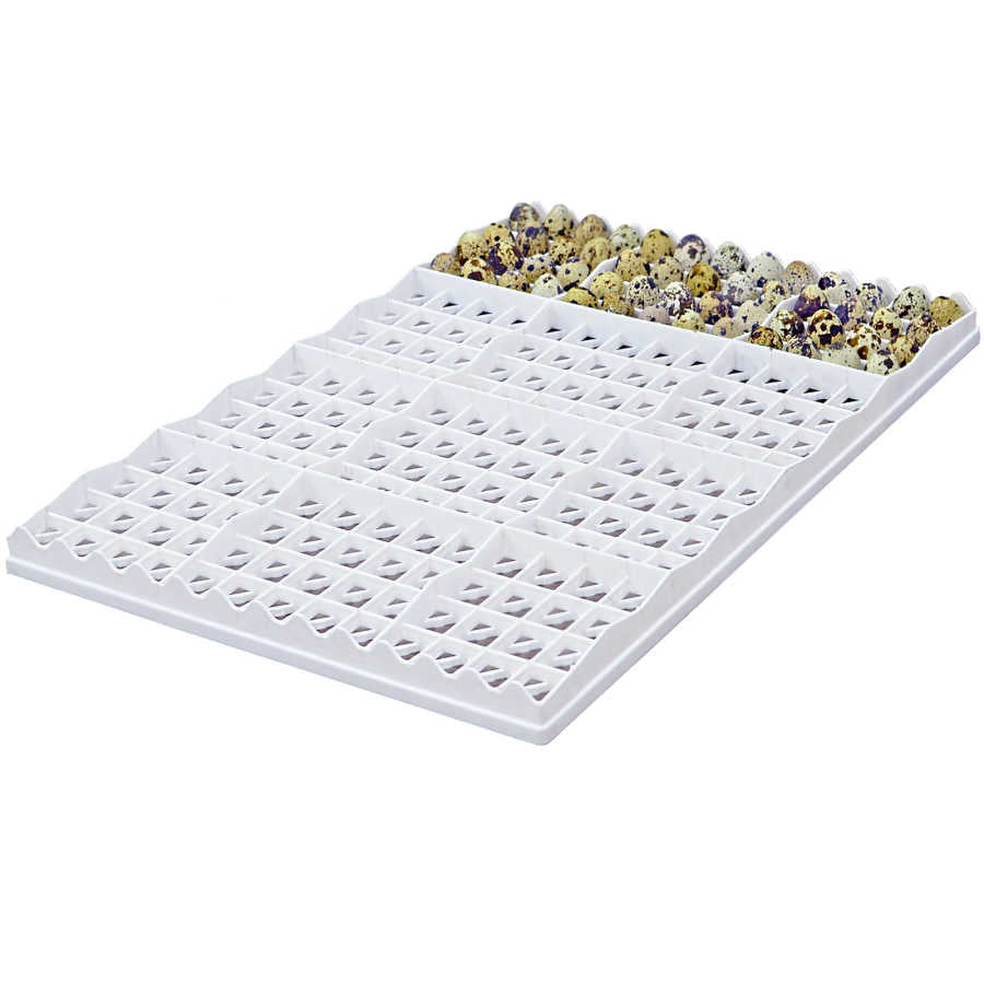 TR208 Wachtel-Bruthorden