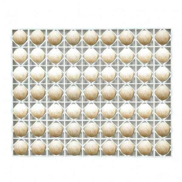Turkey/Duck Incubation Tray TR63