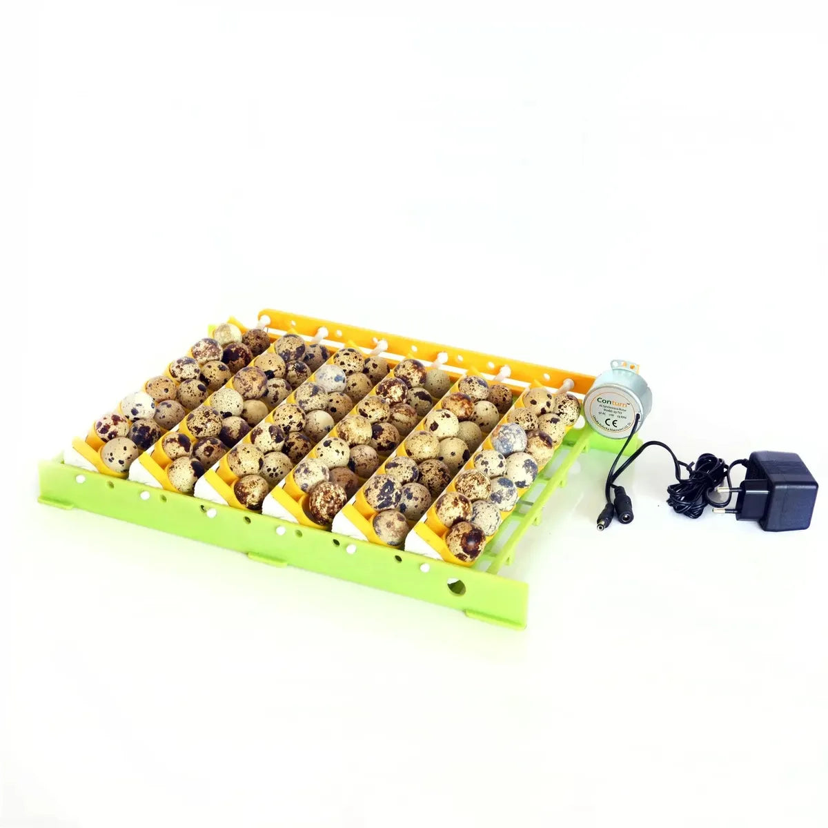 Wachteleieraufsatz QT13