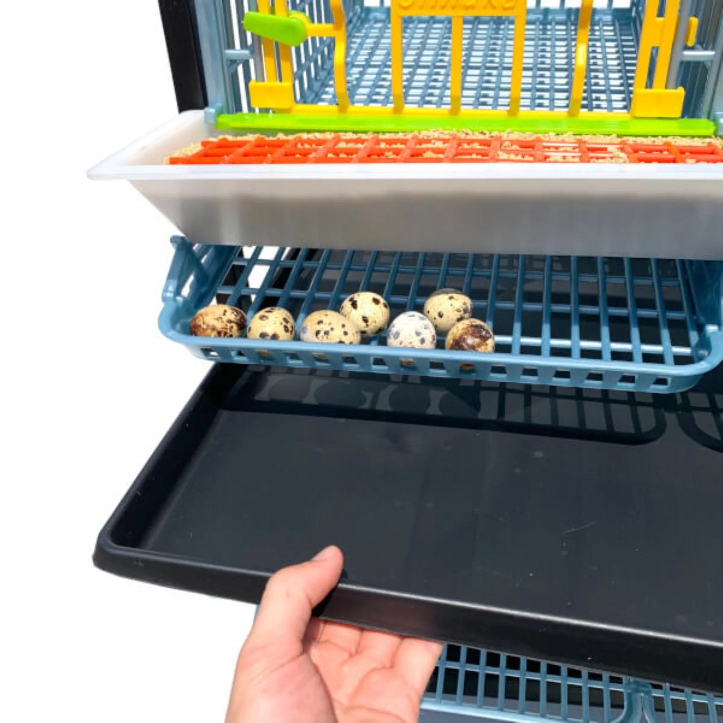 BYK-03-1K – Wachtelaufzuchtbox mit 3 Fächern und 1 Etage