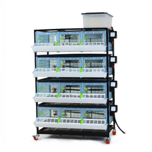 CB25-03-4K – Kükenaufzuchtbox mit 4 Etagen