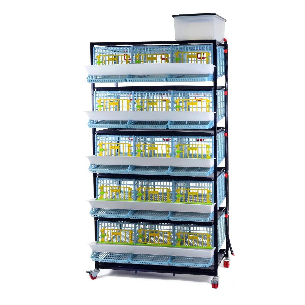 Quail breeding box with 3 compartments and 5 tiers - BYK-03-5K
