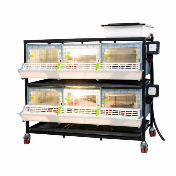 CB25-03-2K – Kükenaufzuchtbox mit 2 Etagen