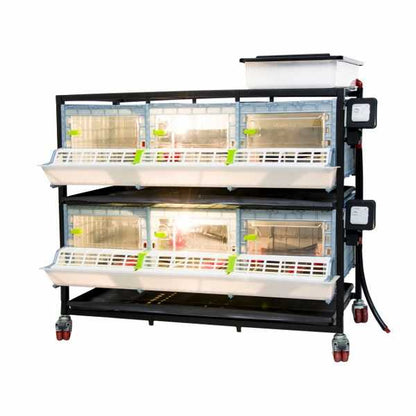 CB25-03-2K – Kükenaufzuchtbox mit 2 Etagen