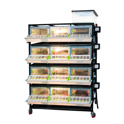 Chick brooding box with 4 tiers - CB25-03-4K