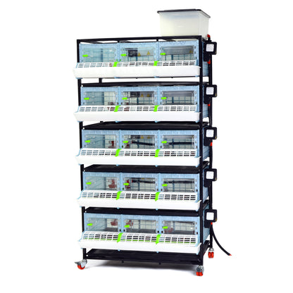 CB25-03-5K – Kükenaufzuchtbox mit 5 Etagen