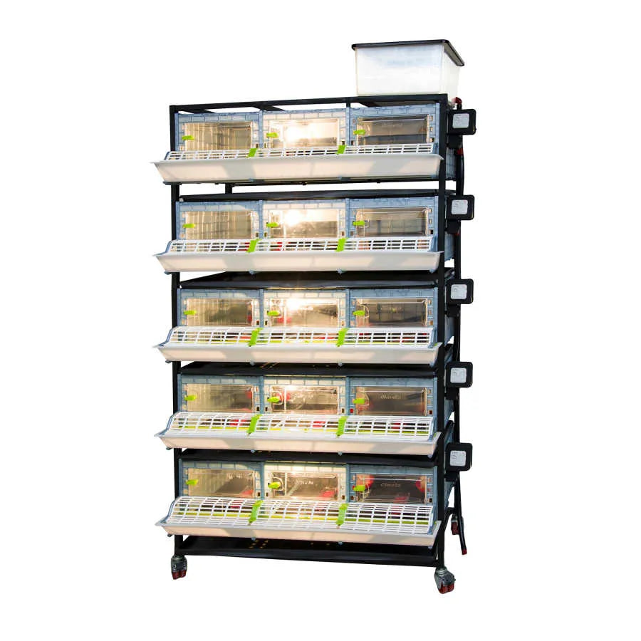 Chick brooding box with 5 tiers - CB25-03-5K