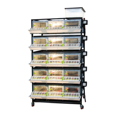 Chick brooding box with 5 tiers - CB25-03-5K