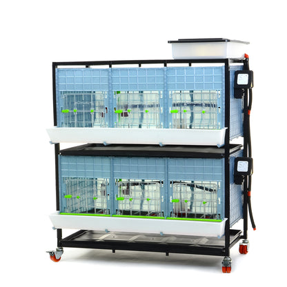 CB40-03-2K – Kükenaufzuchtbox mit 2 Etagen