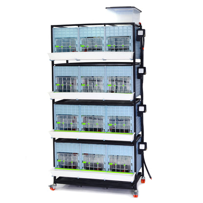 CB40-03-4K – Kükenaufzuchtbox mit 4 Etagen