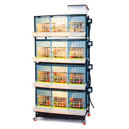 CB40-03-4K – Kükenaufzuchtbox mit 4 Etagen