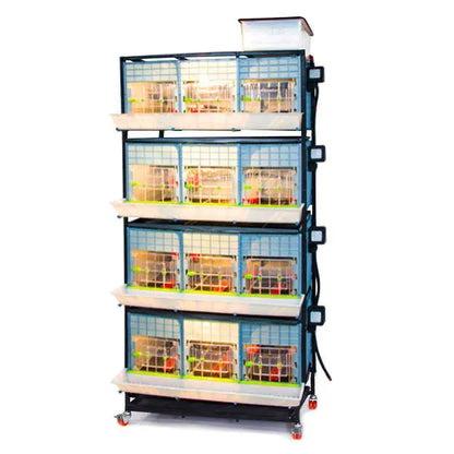Kükenaufzuchtbox mit 4 Etagen - CB40-03-4K