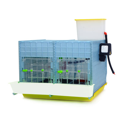 CB40-02-1K-MIDI Kükenaufzuchtbox