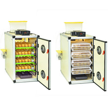 Complete set as incubator and hatching machines from Prodi