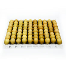 FLX80 Brutschale/Schlupfkorb