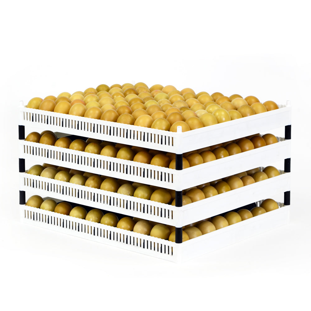 FLX80-P Flexy80 Pin - Set (4 Stk)