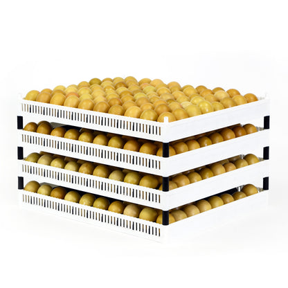 FLX80-P Flexy80 Pin - Set (4 Stk)