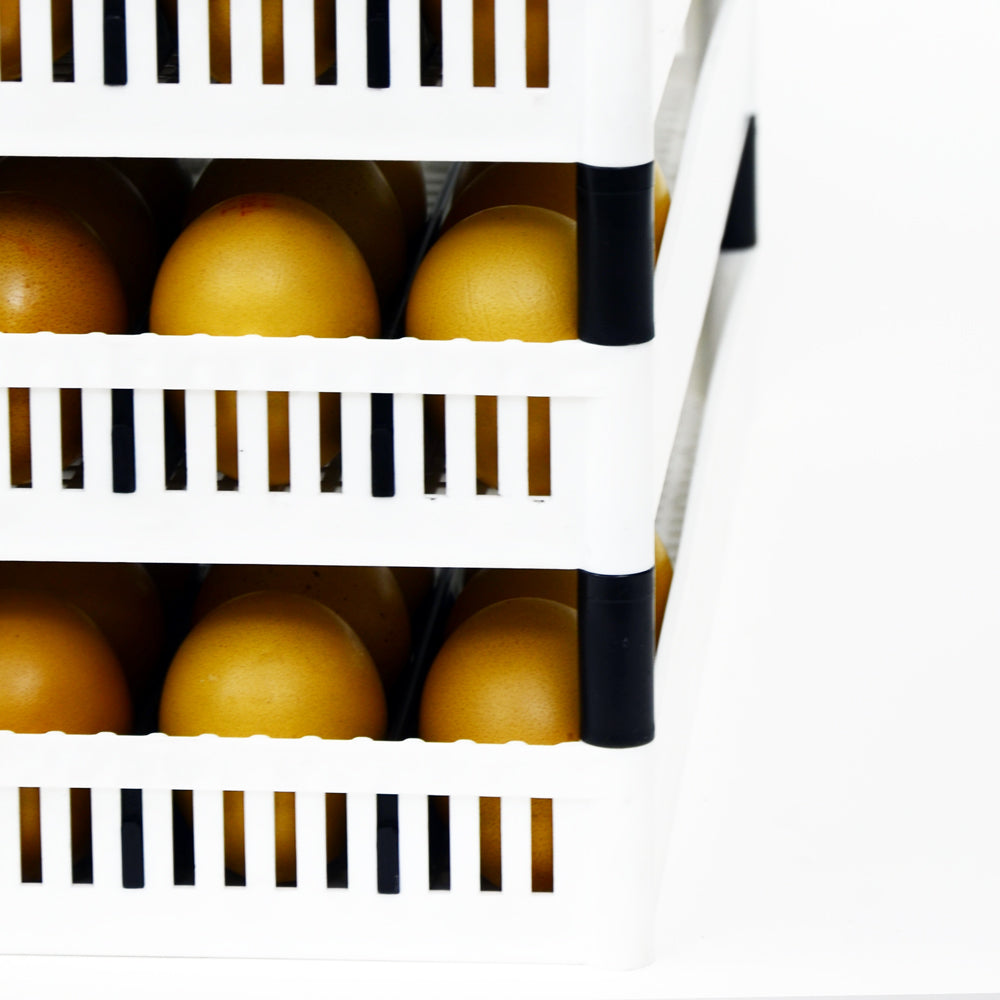 FLX80-P Flexy80 Pin - Set (4 Stk)