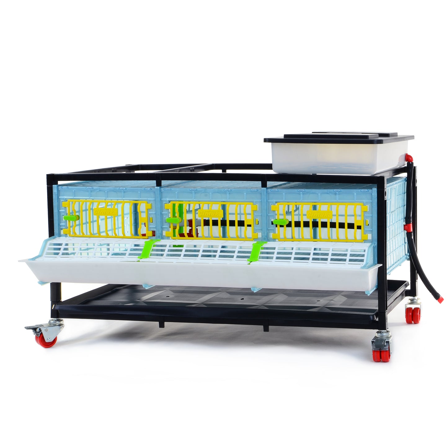 GL25-03-1K – Entwicklungsbox mit 1 Etage für Jungtiere