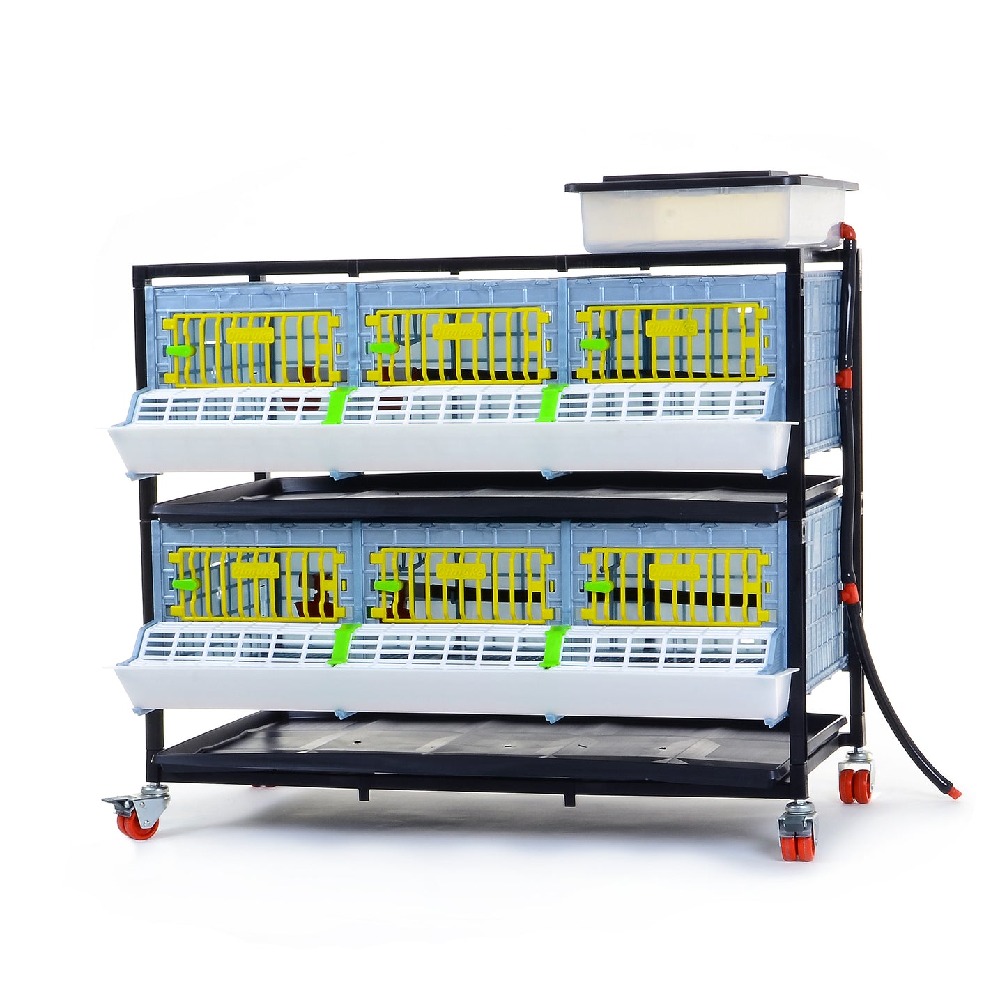 GL25-03-2K – Entwicklungsbox mit 2 Etagen für Jungtiere