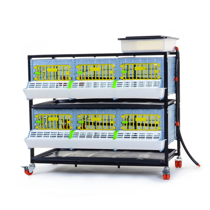 GL25-03-2K – Entwicklungsbox mit 2 Etagen für Jungtiere