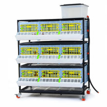 Entwicklungsbox mit 3 Etagen für Jungtiere - GL25-03-3K