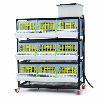 Scatola per lo sviluppo a 3 piani per cuccioli - GL25-03-3K