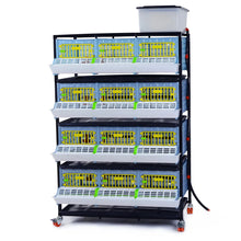 Entwicklungsbox mit 4 Etagen für Jungtiere - GL25-03-4K