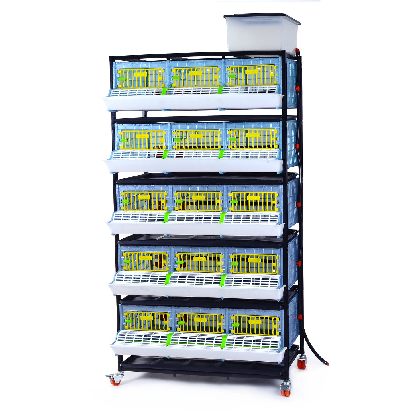 GL25-03-5K – Entwicklungsbox mit 5 Etagen für Jungtiere