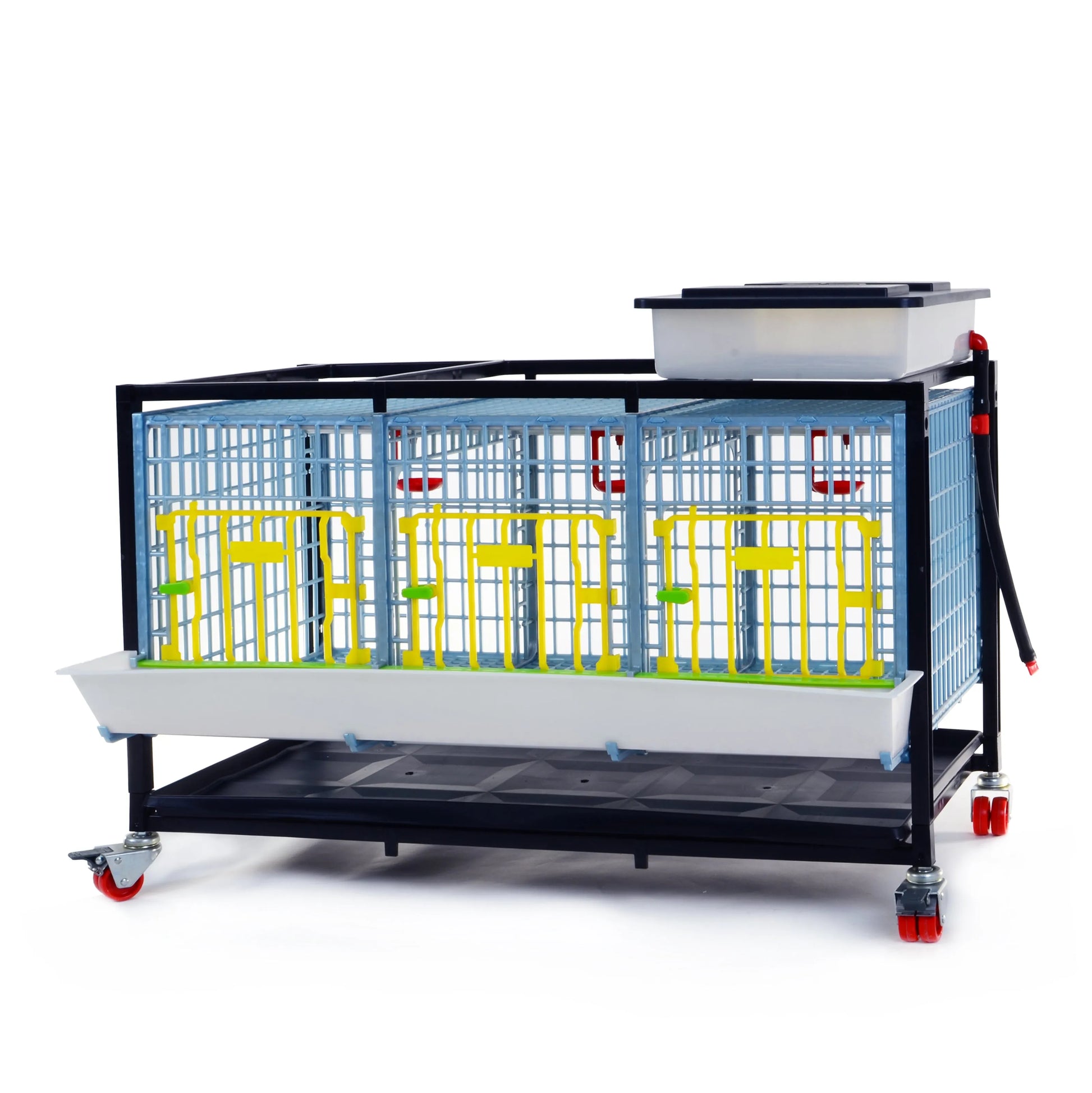 Entwicklungsbox mit 1 Etage für Jungtiere - GL40-03-1K