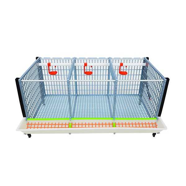 GL40-03-1K– Entwicklungsbox mit 1 Etage für Jungtiere