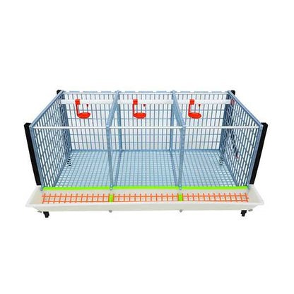 GL40-03-1K– Entwicklungsbox mit 1 Etage für Jungtiere