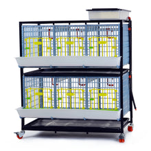 GL40-03-2K– Entwicklungsbox mit 2 Etagen für Jungtiere