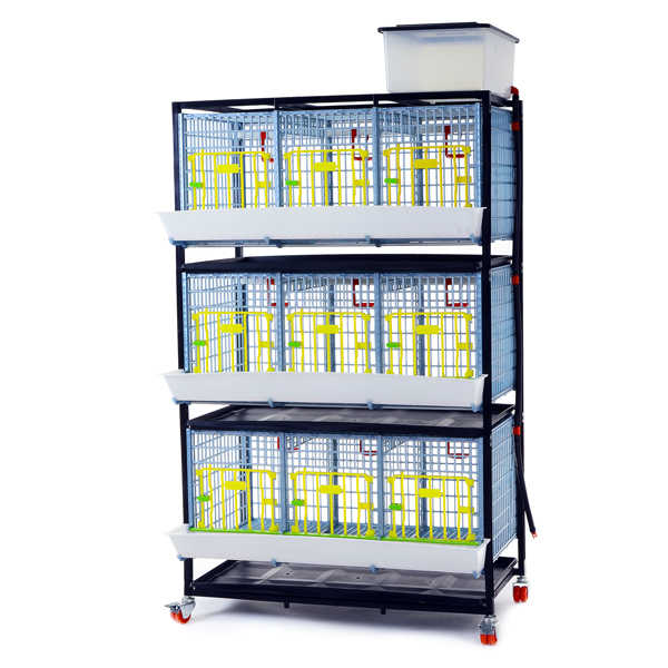 GL40-03-3K – Entwicklungsbox mit 3 Etagen für Jungtiere