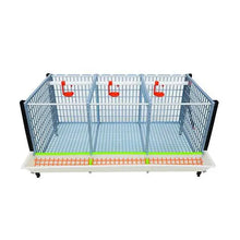 Entwicklungsbox mit 3 Etagen für Jungtiere - GL40-03-3K