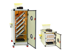 HB175S Entwicklungsmaschine & CT60H Schlupfmaschine