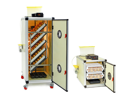 Entwicklungsmaschine HB175S & Schlupfmaschine CT60H