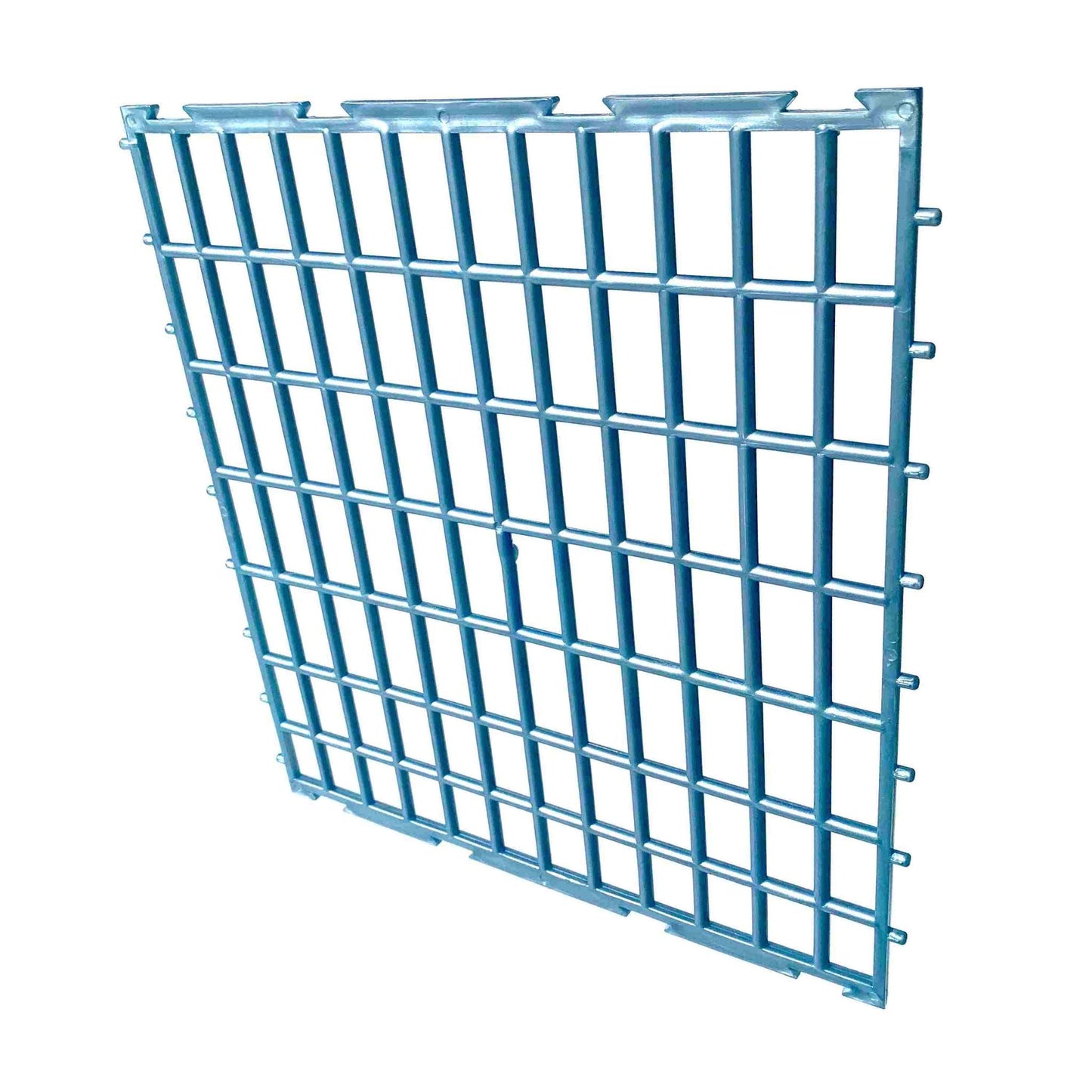 BS_K0041 Aufzuchtbox Rückwand - KYK/TYK40