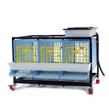 Rebhuhn-Zuchtbox mit 3 Abteilen, 1 Etage - KYK-03-1K