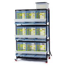 Rebhuhn-Zuchtbox mit 3 Abteilen, 3 Etagen - KYK-03-3K