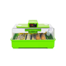 Brut- und Aufzuchtset PD30SH + CB25 Midi Aufzuchtbox