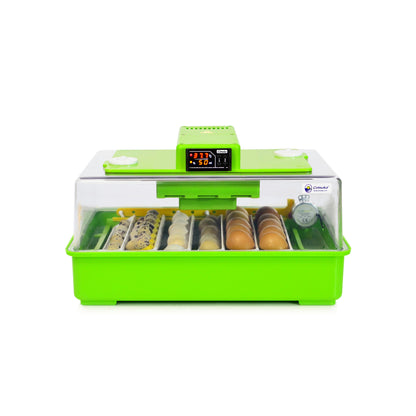 Brut- und Aufzuchtset PD30SH + CB25 Midi Aufzuchtbox