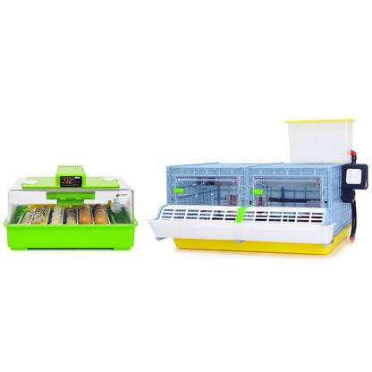 Brut- und Aufzuchtset PD30SH + CB25 Midi Aufzuchtbox