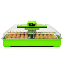 PD60SH  Brutmaschine